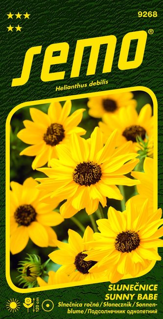 Slunečnice slabá - Sunny Babe 1,2g - série NEKTAR PÁRTY