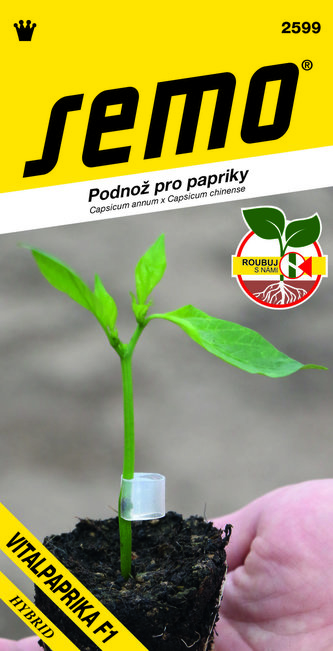 Podnož k roubování - Vitalpaprika (Sm Tant) 10s série "Roubuj s námi"