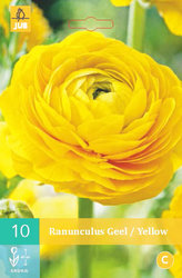 Karta - Pryskyřník Ranunculus YELLOW (10 cibulí) "B"