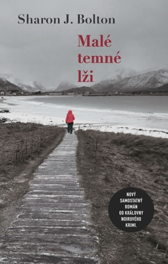 Malé temné lži (S. J Bolton, 2019)