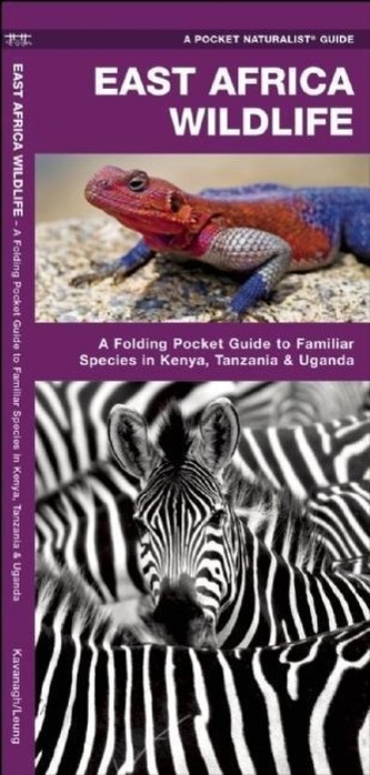 East Africa Wildlife: A Folding Pocket Guide to Familiar Species in Kenya, Tanzania & Uganda