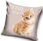 POVLAK NA POLŠTÁŘ KOČIČKA