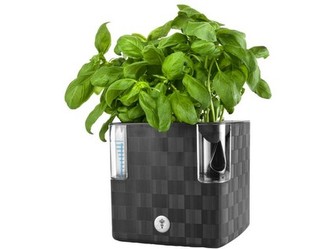 květináč COBBLE samozavl. dekorativní 14x14cm ANTR