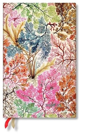 Diář Anemone 2022/2023