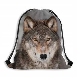 Vak na záda 114 VLK MyBestHome 41x32 cm