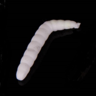 Gumová nástraha Baco Vzor W