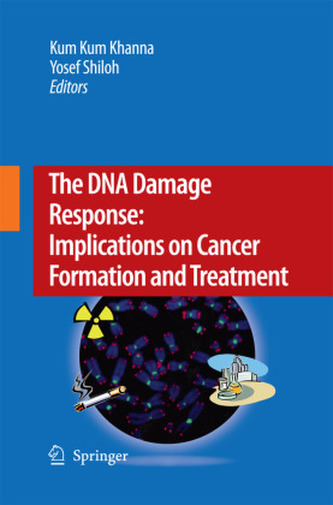The DNA Damage Response: Implications on Cancer Formation and Treatment