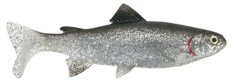 Nástraha Trout, 20 cm Vzor BG