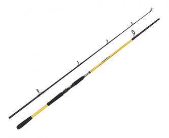 Prut Kodiak 2,40m/100-250g