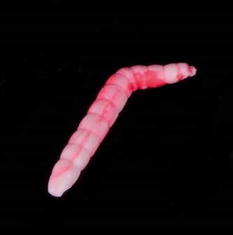 Gumová nástraha Baco Vzor WR