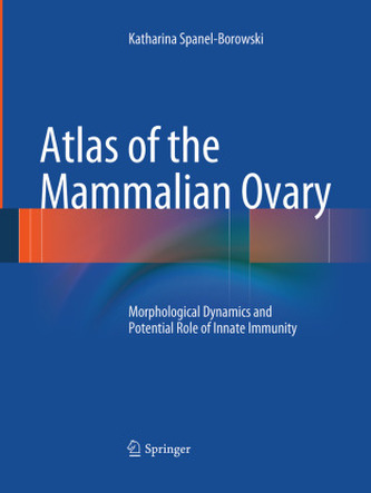 Atlas of the Mammalian Ovary