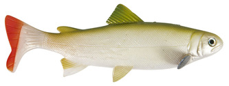 Nástraha Trout, 20 cm Vzor GT
