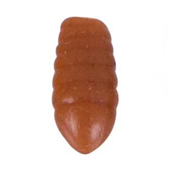 Gumové nástrahy - larva Vzor LB