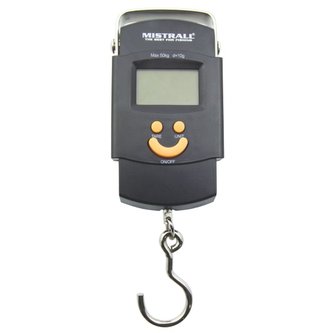 Váha digitální KC2