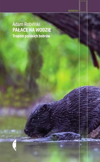 Pałace na wodzie Pałace na wodzie
