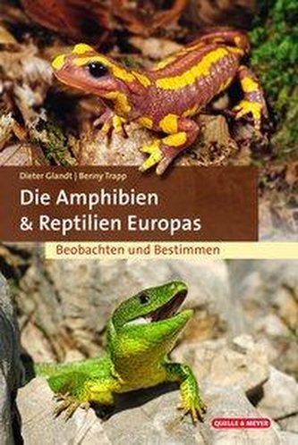 Die Amphibien und Reptilien Europas