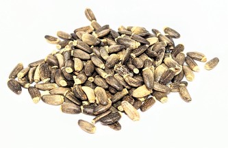 Grešík Ostropestřec Marián. plod 1 kg
