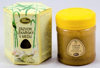 Zázvor lékařský v medu Pleva