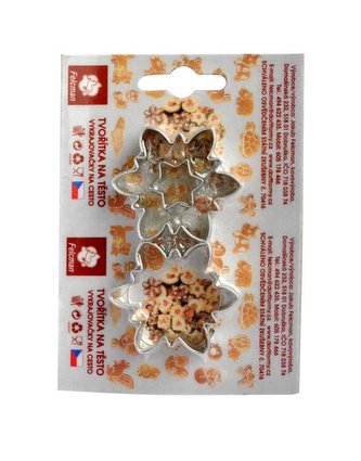 VYKRAJ.SADA RŮŽE 2 KS