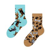 Veselé dětské ponožky Dedoles Jezevčík (GMKS104) 27/30