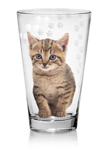 SKLENICE NADIA LONGDRINK 310ML, KOČIČKA