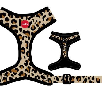 Postroj Reedog LEO-XS