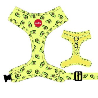 Postroj Reedog AVOCADO-S Postroj Reedog AVOCADO-S