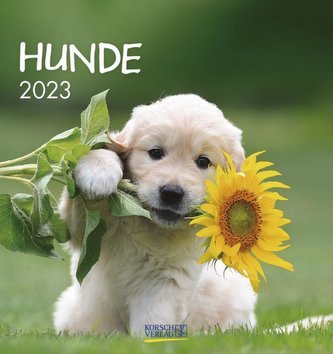 Hunde 2023