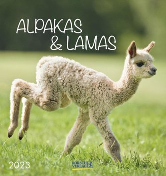 Alpakas und Lamas 2023
