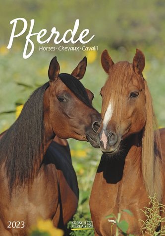 Pferde 2023