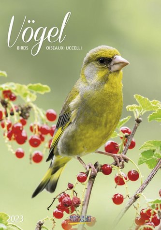 Vögel 2023