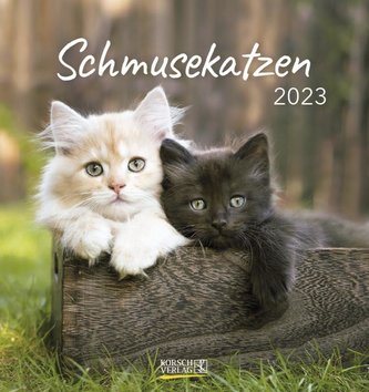 Schmusekatzen 2023