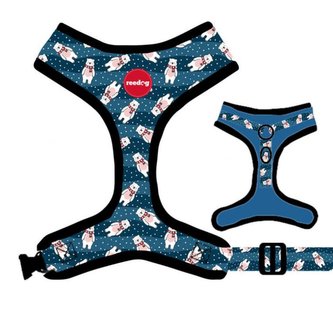 Postroj Reedog BEAR-S Postroj Reedog BEAR-S
