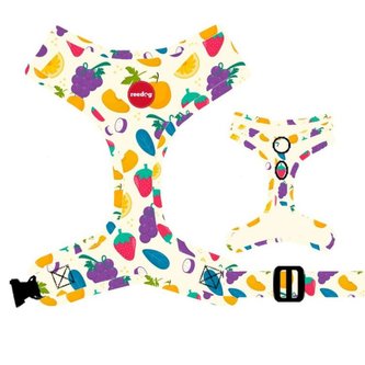 Postroj Reedog FRUIT-S Postroj Reedog FRUIT-S