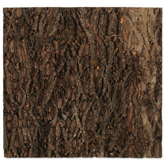 Pozadí REPTI PLANET korek přírodní 58,5 x 56 x 2 cm