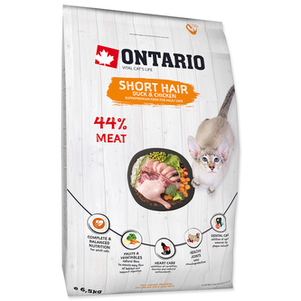 ONTARIO Cat Shorthair ONTARIO Cat Shorthair
