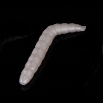 Gumová nástraha Baco Vzor PE