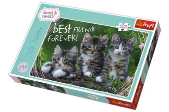 Puzzle Koťata 260 dílků 60x40cm v krabici 40x27x4cm