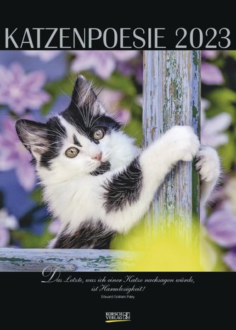 Katzenpoesie 2023