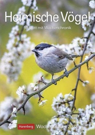 Heimische Vögel Wochenplaner 2023