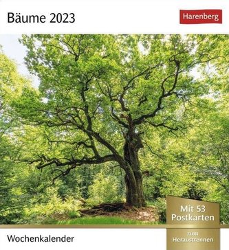 Bäume Postkartenkalender 2023