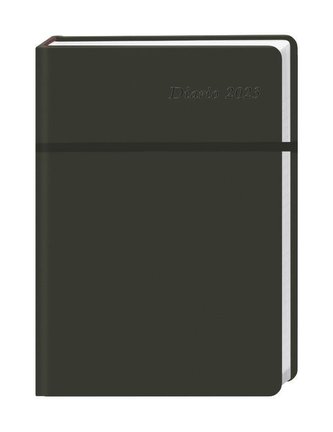 Diario Wochen-Kalenderbuch A5, schwarz 2023