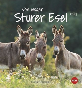 Esel Postkartenkalender 2023