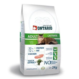 ONTARIO Cat Adult Castrate