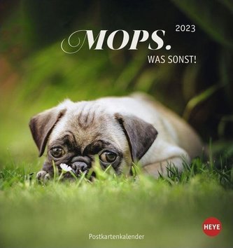 Mops Postkartenkalender 2023