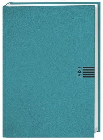 Tages-Cheftimer A6, petrol 2023