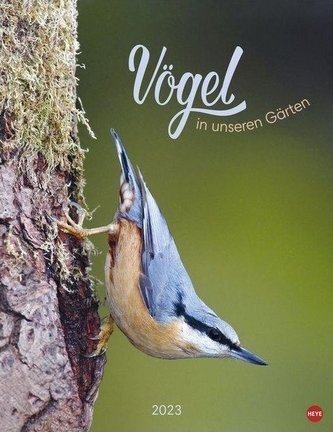 Vögel in unseren Gärten Posterkalender 2023