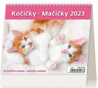 Kalendář stolní 2023 - MiniMax Kočičky