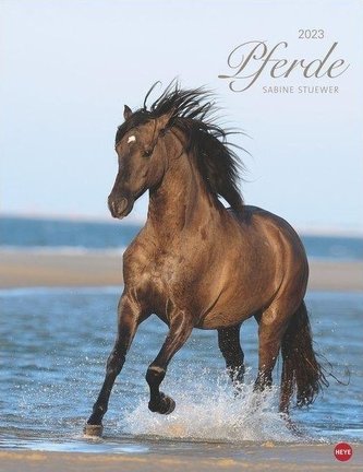 Pferde Classics Posterkalender 2023