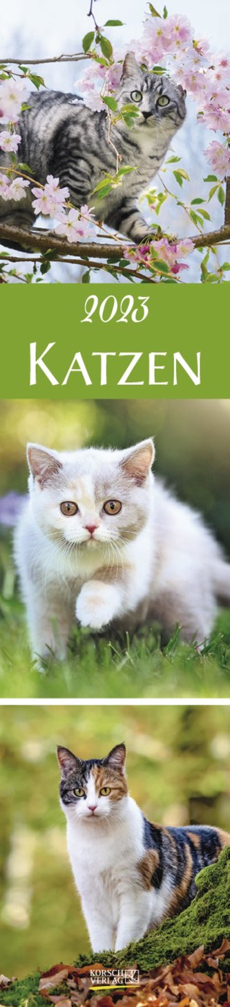 Katzen Langplaner 2023